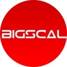 Bigscal